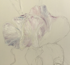 paintings